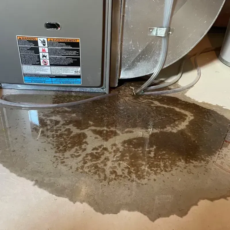 Appliance Leak Cleanup in Newton County, GA